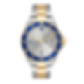 Cortleigh Silver Two-Tone