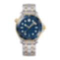 Cortleigh Blue Two-Tone 4